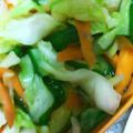 一人鍋's cooksnap of when they made しょうが風味の昆布茶浅漬け。.
