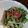 ラピュタ姫's cooksnap of when they made わかめ水菜ツナの中華風サラダ.
