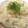 sonop's cooksnap of when they made 舞茸としらすのご飯.