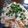 mixはなこ's cooksnap of when they made 大根とツナマヨ野菜サラダ♪.