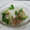 まさたかまま's cooksnap of when they made イカす納豆おろし乗せ.