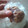 chiemake's cooksnap of when they made キャベツ1玉を長持ちさせる方法.