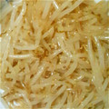 ちぽけ's cooksnap of when they made もやしの和風ナムル.