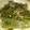 さこみな's cooksnap of when they made 茎ワカメのおかか和え.