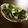 ガメコ's cooksnap of when they made ＊胡瓜のからし漬け＊.