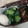 サーフブレイド's cooksnap of when they made 塩こうじのきゅうり漬け.