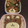 愛うらら's cooksnap of when they made そぼろでクマ弁.