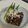 ☆みきりん★'s cooksnap of when they made フライパンで簡単！茄子とオクラの焼き浸し.