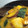 ざっくり悠成's cooksnap of when they made かぼちゃとさつまいものそぼろ煮.