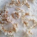 ハニイとムサシ's cooksnap of when they made ※レンジでヘルシー！簡単ゴーヤチップス※.