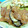 ジョンリークッカー's cooksnap of when they made 我が家の基本・定番～豚肉の生姜焼き.
