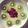 Explore34's cooksnap of when they made ☆フルーツヨーグルト☆お手軽デザート.