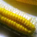 mikimatsu's cooksnap of when they made とうもろこしの食べ方.