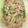 まこきっちゃん's cooksnap of when they made ✽✽水菜のゴマ和え✽✽.