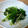 たかちょりん's cooksnap of when they made ほうれん草とえのきの和え物.