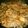 JadeNY's cooksnap of when they made 残りワインで★チキンマサラ風　.