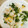 白いぐれーぷ's cooksnap of when they made 青菜と鮭フレークで炒飯.