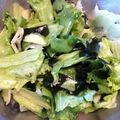 ランルーママ's cooksnap of when they made 中華風！レタス、トマト、ワカメのサラダ.