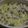 たい焼き's cooksnap of when they made 超簡単☆ヘルシー☆豆腐と納豆のグラタン.