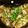 あまあまイチゴ's cooksnap of when they made タジン鍋でヘルシー☆根菜のアクアパッツァ.