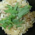 ありたす's cooksnap of when they made 葉生姜と豚ばら肉の炊き込みご飯.
