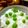Lovely優's cooksnap of when they made 今が“旬”グリンピースご飯.