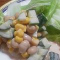 アルトともこ's cooksnap of when they made 大豆のサラダ.