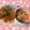 yu🐓's cooksnap of when they made ワラサ(ブリ)漬け♪♪.