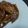 ビリー君隊長's cooksnap of when they made 手羽先の照り焼き.