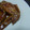 ビリー君隊長's cooksnap of when they made 手羽先の照り焼き.