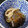 犬郎さん's cooksnap of when they made 茄子と素麺の煮物.
