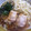 わたママ's cooksnap of when they made 簡単だけど本格的☆煮豚（焼豚）.