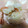 yochaam's cooksnap of when they made わたしの☆えびマヨ.