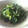 ヒデカズコ's cooksnap of when they made ほうれん草のごまあえ.
