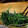 chocomin党's cooksnap of when they made ほうれん草のゴマ和え.