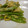 tamamiya55's cooksnap of when they made 絹サヤ卵とじ♬.
