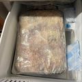 幸男nagano's cooksnap of when they made 自家製アジフライ(多めに作って冷凍保存).