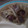嵐大野君's cooksnap of when they made 砂肝とモヤシのおつまみ炒め.