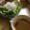 しゆちゃ's cooksnap of when they made いかときゅうりのさっぱり和風サラダ仕立て.