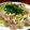 ピカ☆ポチャ's cooksnap of when they made 冷しゃぶサラダ.