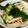 mikiha5's cooksnap of when they made 胡瓜・ワカメ・カニカマの三杯酢和え.