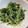 daikanon's cooksnap of when they made 水菜とわかめのからし和え.
