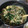 ピロンヌ117's cooksnap of when they made ご飯がすすむ☆中華風豚ニラもやしの卵炒め.