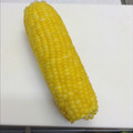赤蜻蛉's cooksnap of when they made 冷めてもプチプチ☆とうもろこしのゆで方.