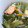 コウセイママ's cooksnap of when they made たっぷり野菜と鮭のスープ.