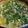 ＊makozou＊'s cooksnap of when they made ＊ふわとろ親子丼.