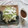 さるのまま's cooksnap of when they made いかときゅうりのさっぱり和風サラダ仕立て.