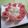 さとみりん's cooksnap of when they made さっぱり大根とレモンのサラダ.