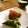 56食堂's cooksnap of when they made 鶏もも肉のソテー　熟味酢の焦がしソースで.
