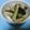 tetubinn's cooksnap of when they made 柴漬け（自家製）.